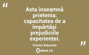 Asta înseamnă prietenia: capacitatea de a împărtăşi prejudiciile experienţei. Charles Bukowski...