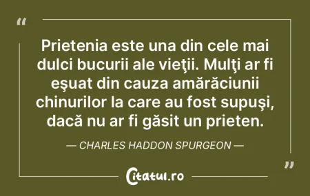 Prietenia este una din cele mai dulci bu...