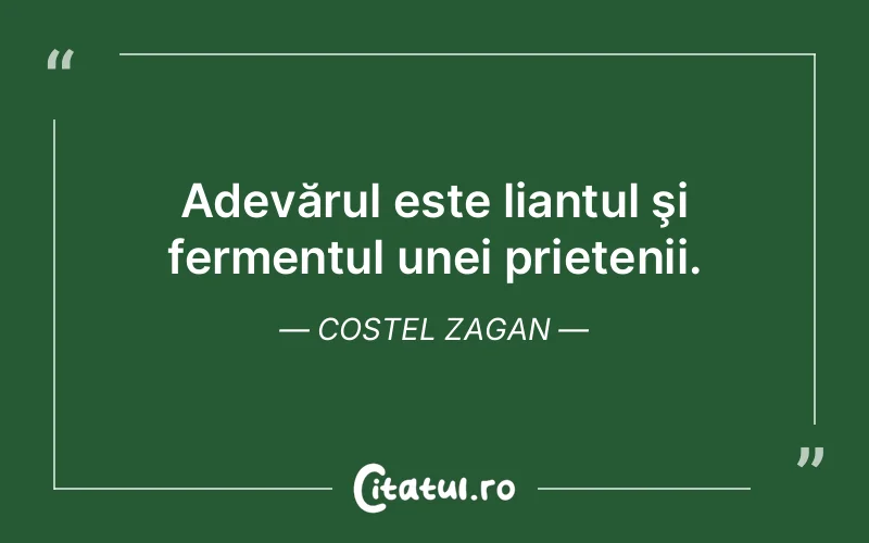Citat Costel Zagan - citate prietenie