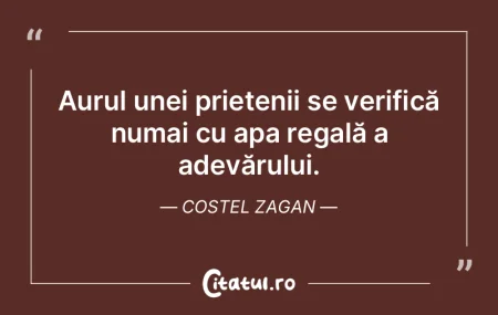 Aurul unei prietenii se verifică numai ...