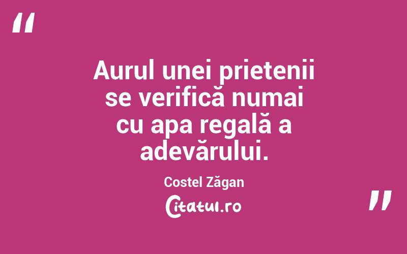Aurul unei prietenii se verifică numai cu apa regală a adevărului. Costel Zăgan

