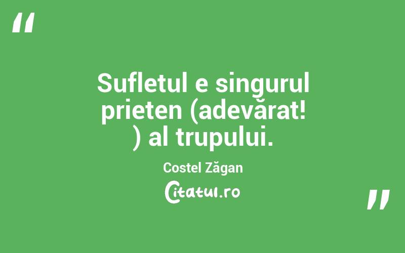 Sufletul e singurul prieten (adevărat! ) al trupului. Costel Zăgan
