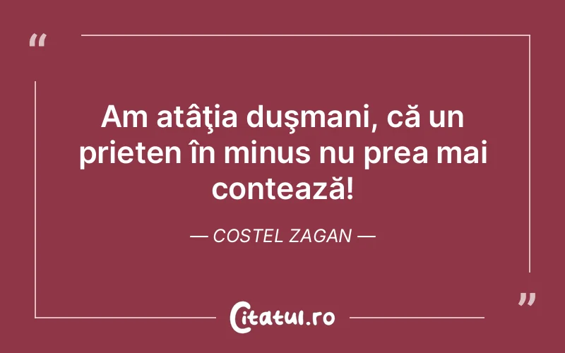 Citat Costel Zagan - citate prietenie