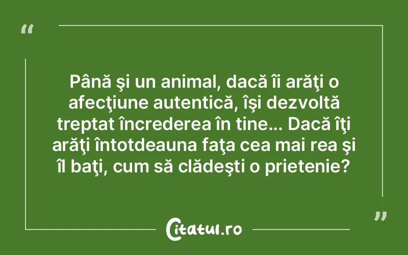 Citat Autor necunoscut - citate prietenie