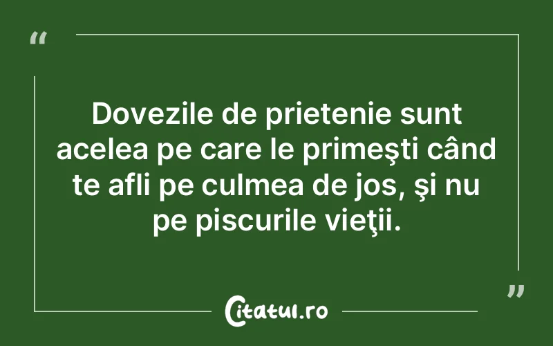 Citat Autor necunoscut - citate prietenie