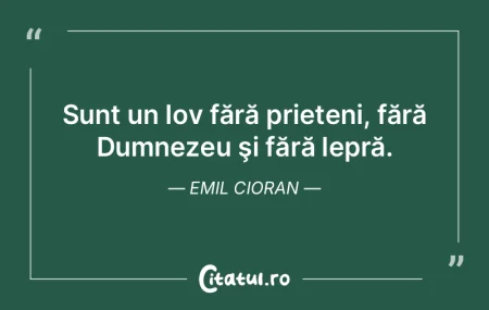  Sunt un Iov fără prieteni, fără Dum...