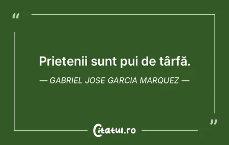 Prietenii sunt pui de târfă. Gabriel J...