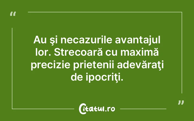 Citat Autor necunoscut - citate prietenie