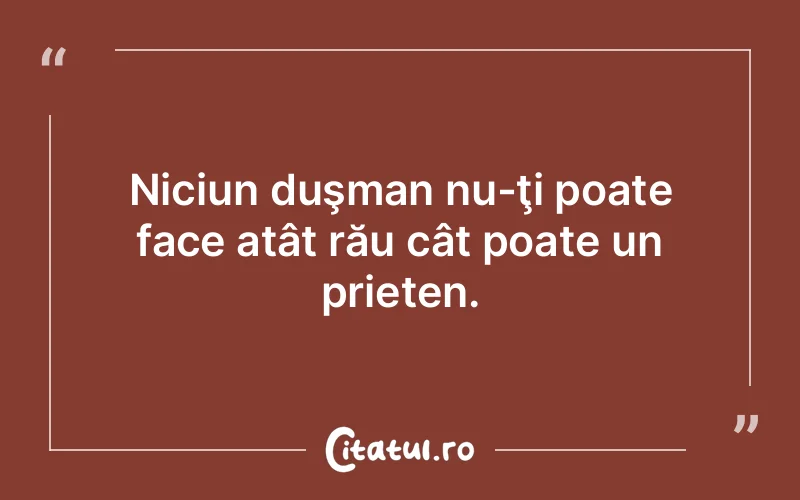 Citat Autor necunoscut - citate prietenie