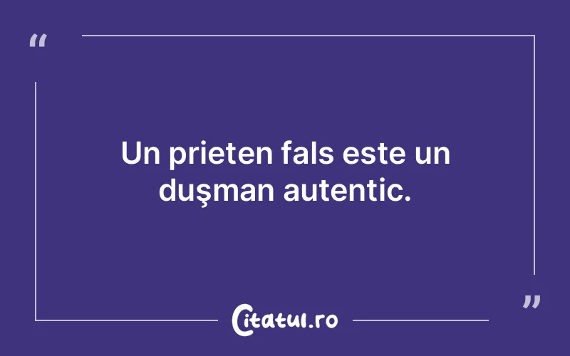 Citat Autor necunoscut - citate prietenie