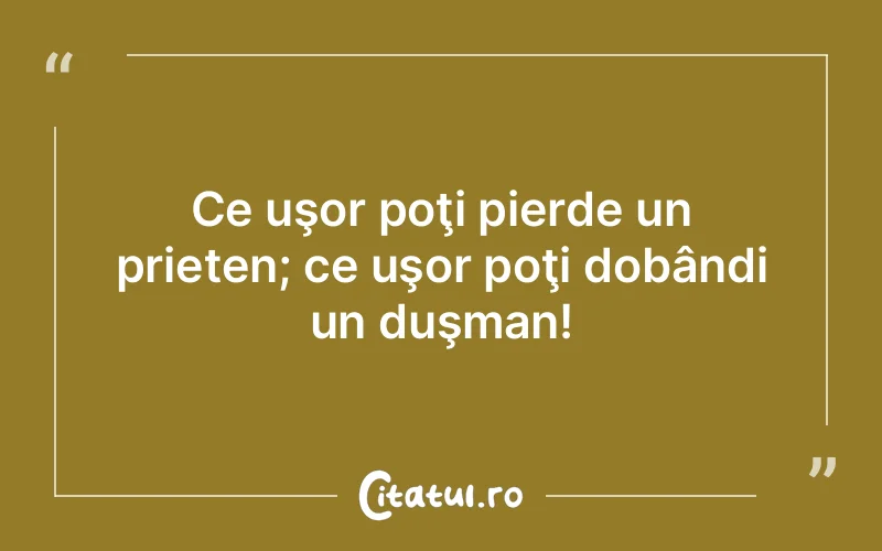 Citat Autor necunoscut - citate prietenie