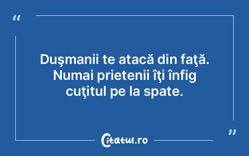 Citat Autor necunoscut - citate prietenie