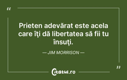 Citat Prietenie - Citatul.ro