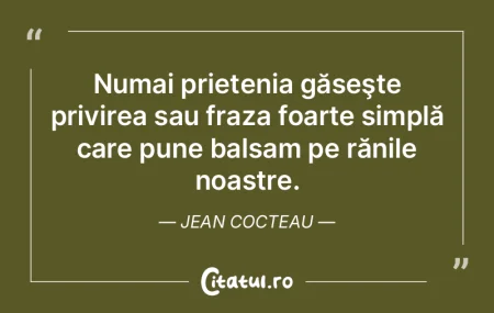 Numai prietenia găseşte privirea sau f... Numai prietenia găseşte privirea sau f...