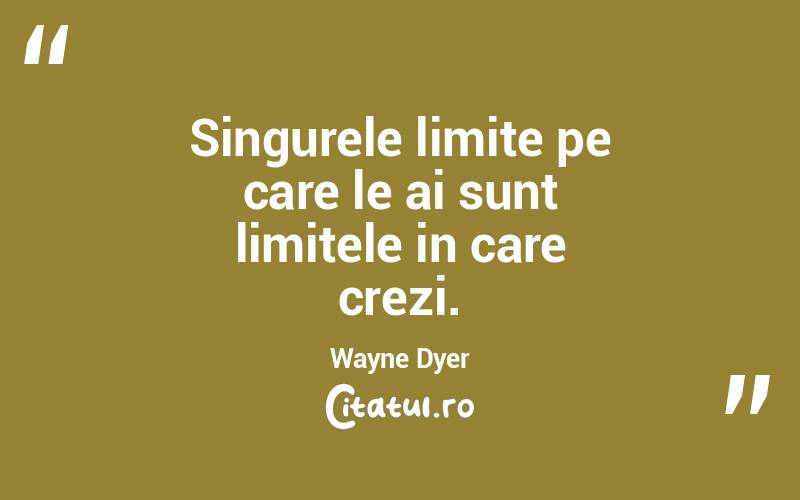 Singurele limite pe care le ai sunt limitele in care crezi. Wayne Dyer
