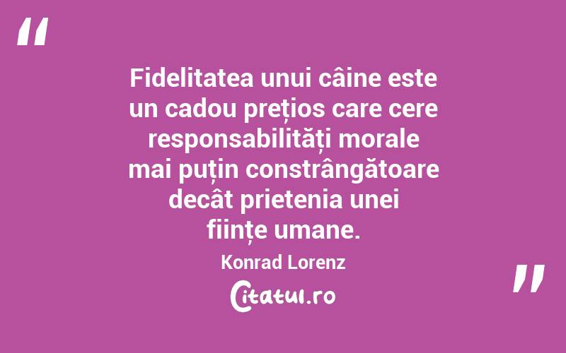 Fidelitatea unui câine este un cadou preţios care cere responsabilităţi morale mai puţin constrângătoare decât prietenia unei fiinţe umane. Konrad Lorenz
