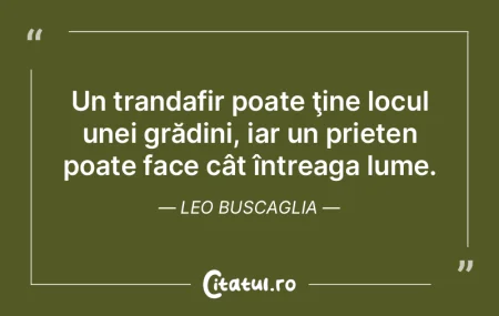 Un trandafir poate ţine locul unei gră...