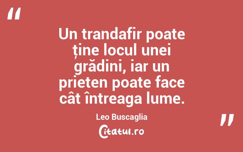 Un trandafir poate ţine locul unei grădini, iar un prieten poate face cât întreaga lume. Leo Buscaglia
