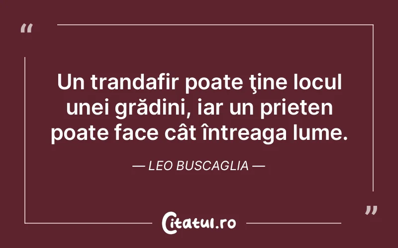 Citat Leo Buscaglia - citate prietenie