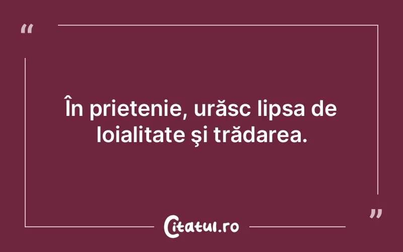 Citat Autor necunoscut - citate prietenie