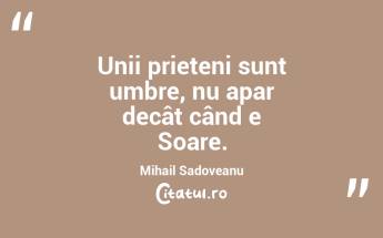 Unii prieteni sunt umbre, nu apar decât când e Soare. Mihail Sadoveanu...