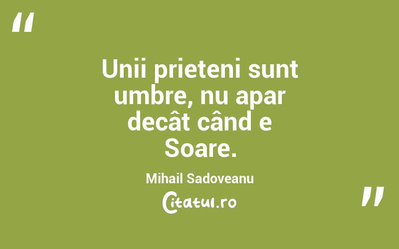 Unii prieteni sunt umbre, nu apar decât când e Soare. Mihail Sadoveanu
