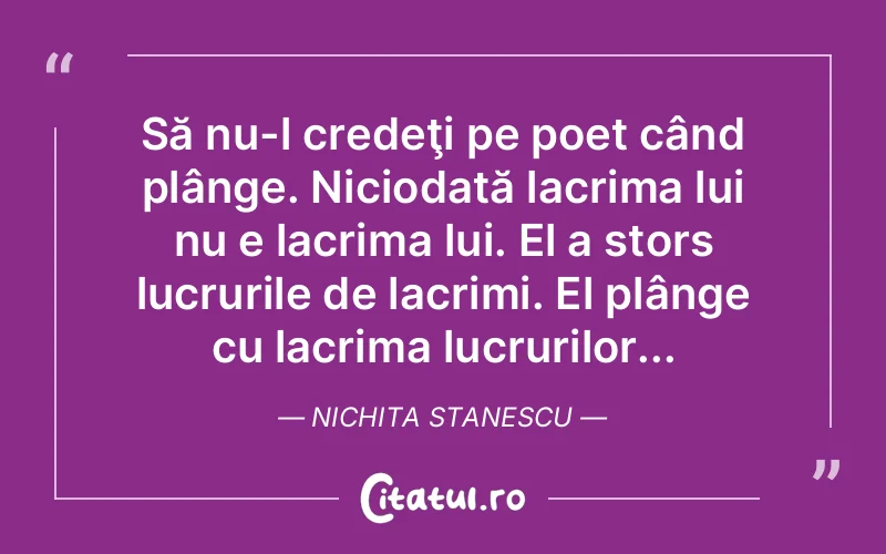 Citat Nichita Stanescu - citate prietenie