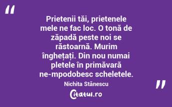 Prietenii tăi, prietenele mele ne fac loc. O tonă de zăpadă peste noi se răstoarnă. Murim îngheţaţi. Din nou numai pletele în primăvară ne-mpodobesc scheletele. Nichita Stănescu...