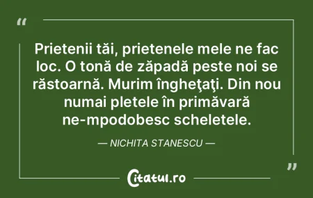 Prietenii tăi, prietenele mele ne fac l...