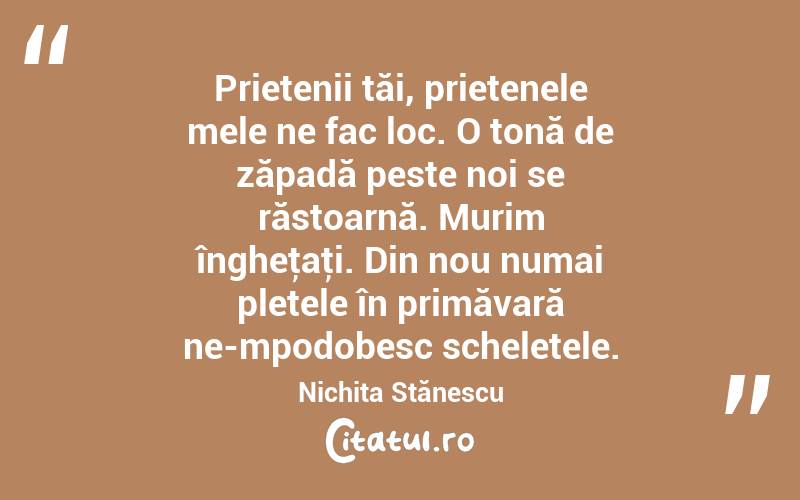 Prietenii tăi, prietenele mele ne fac loc. O tonă de zăpadă peste noi se răstoarnă. Murim îngheţaţi. Din nou numai pletele în primăvară ne-mpodobesc scheletele. Nichita Stănescu
