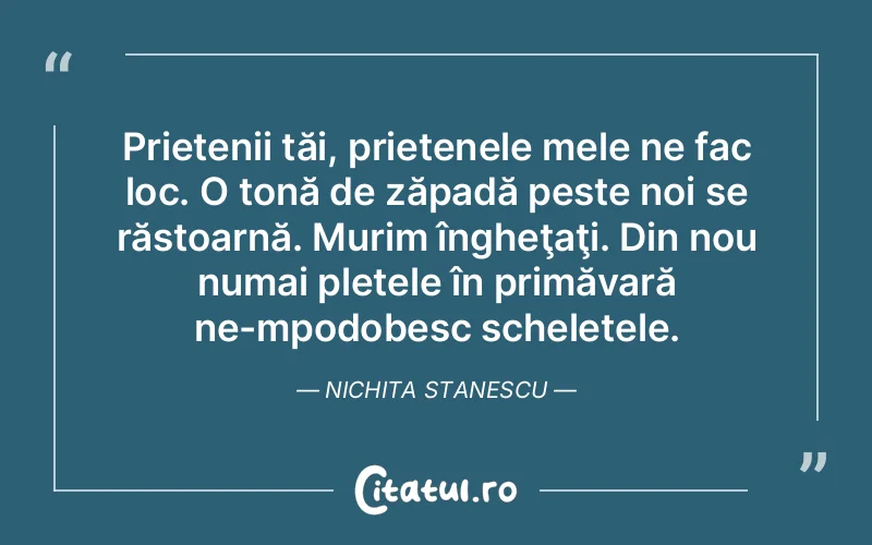 Citat Nichita Stanescu - citate prietenie