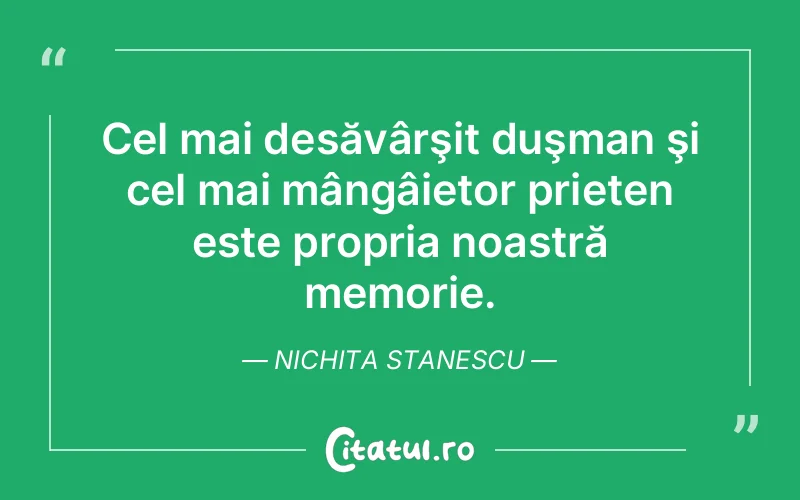 Citat Nichita Stanescu - citate prietenie