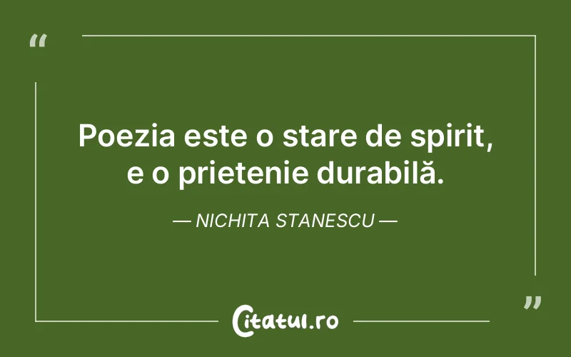 Citat Nichita Stanescu - citate prietenie