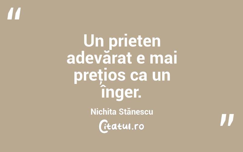 Un prieten adevărat e mai preţios ca un înger. Nichita Stănescu
