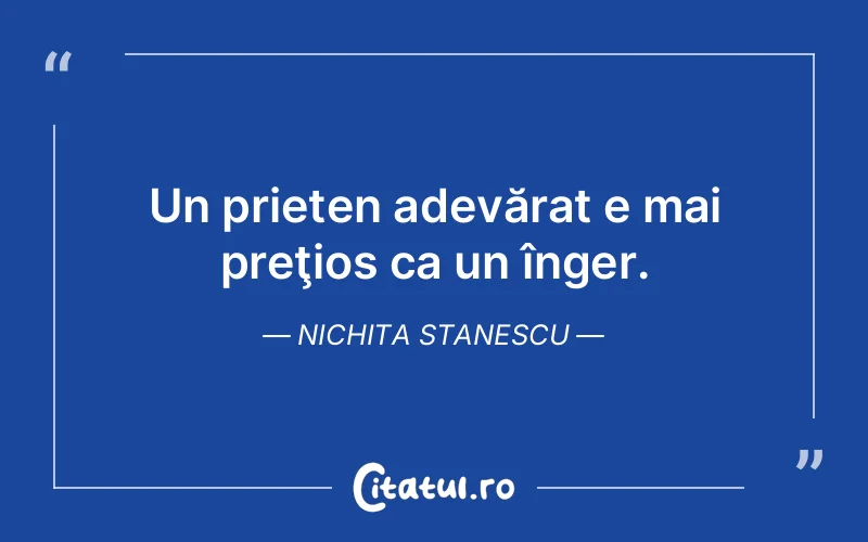Citat Nichita Stanescu - citate prietenie