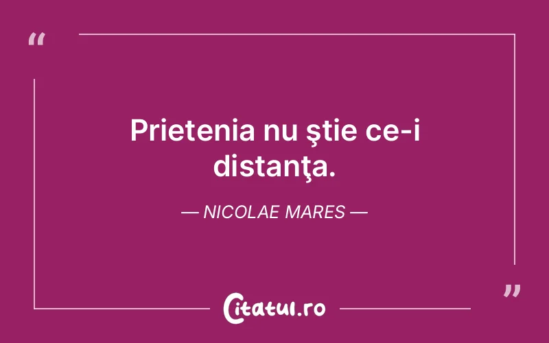 Citat Nicolae Mares - citate prietenie