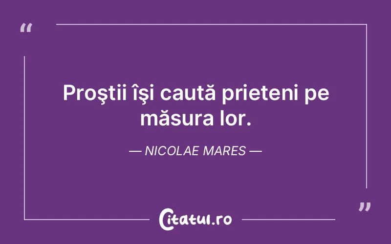 Citat Nicolae Mares - citate prietenie