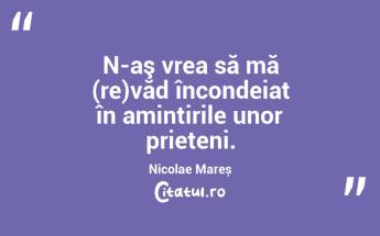 N-aş vrea să mă (re)văd încondeiat în amintirile unor prieteni. Nicolae Mareș...