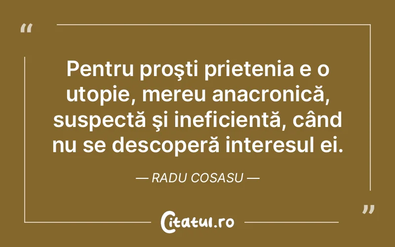 Citat Radu Cosasu - citate prietenie