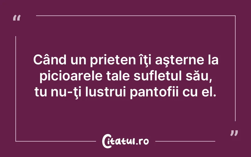 Citat Autor necunoscut - citate prietenie