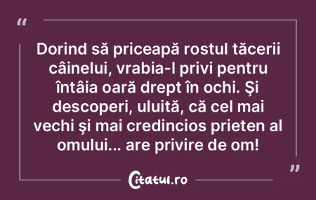 Dorind să priceapă rostul tăcerii câ...