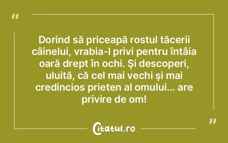 Citat Autor necunoscut - citate prietenie