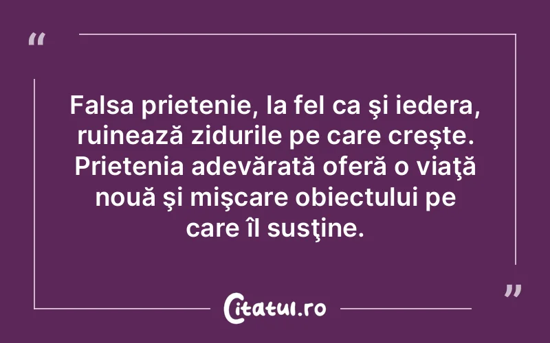 Citat Autor necunoscut - citate prietenie