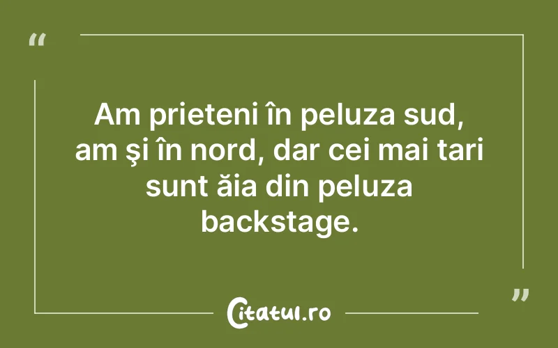 Citat Autor necunoscut - citate prietenie