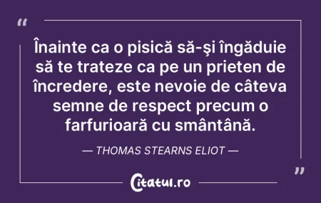 Înainte ca o pisică să-şi îngăduie...