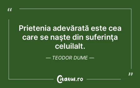 Prietenia adevărată este cea care se n...