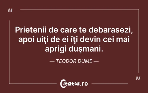 Citat Prietenie - Citatul.ro
