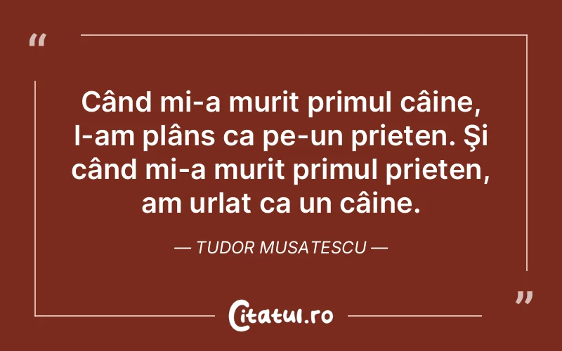 Citat Tudor Musatescu - citate prietenie