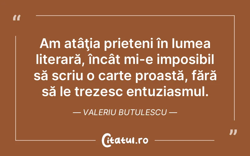 Citat Valeriu Butulescu - citate prietenie