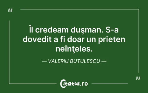 Citat Prietenie - Citatul.ro